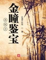 古玩之金瞳鉴宝全集