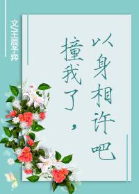 撞了我以身相许吧全文