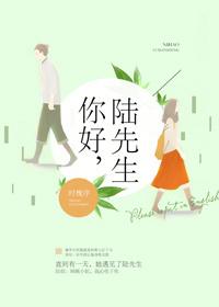 你好陆先生免费阅读全文