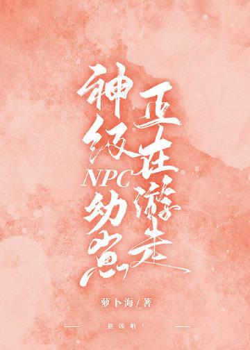 禁止某玩家接触副本NPC番外
