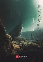 遮天叶凡九世