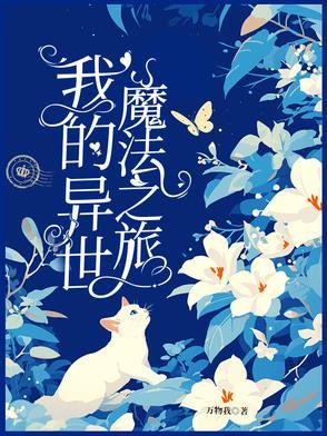异世界魔法之旅免费阅读